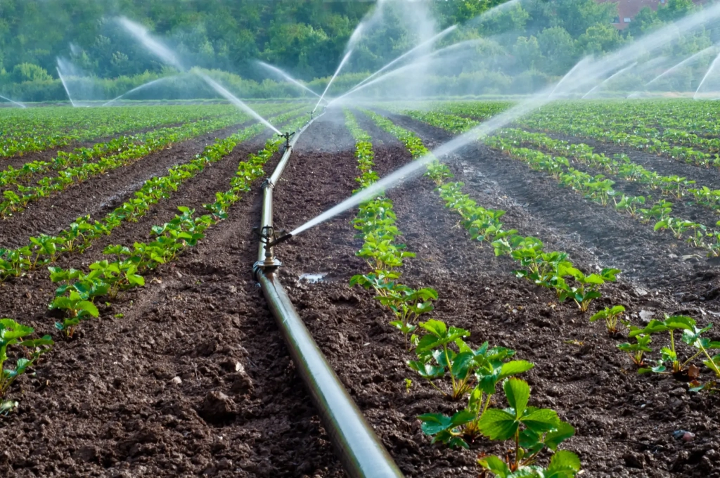 Quel est le coût moyen d'entretien d'un système d'irrigation ?