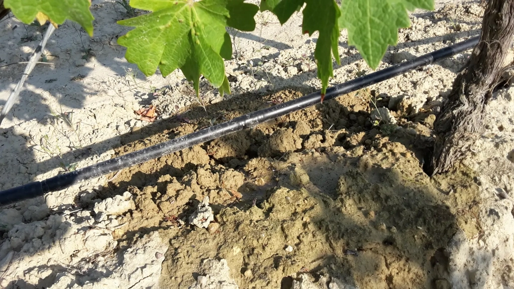 Comment nettoyer et entretenir son système d’arrosage goutte à goutte ?