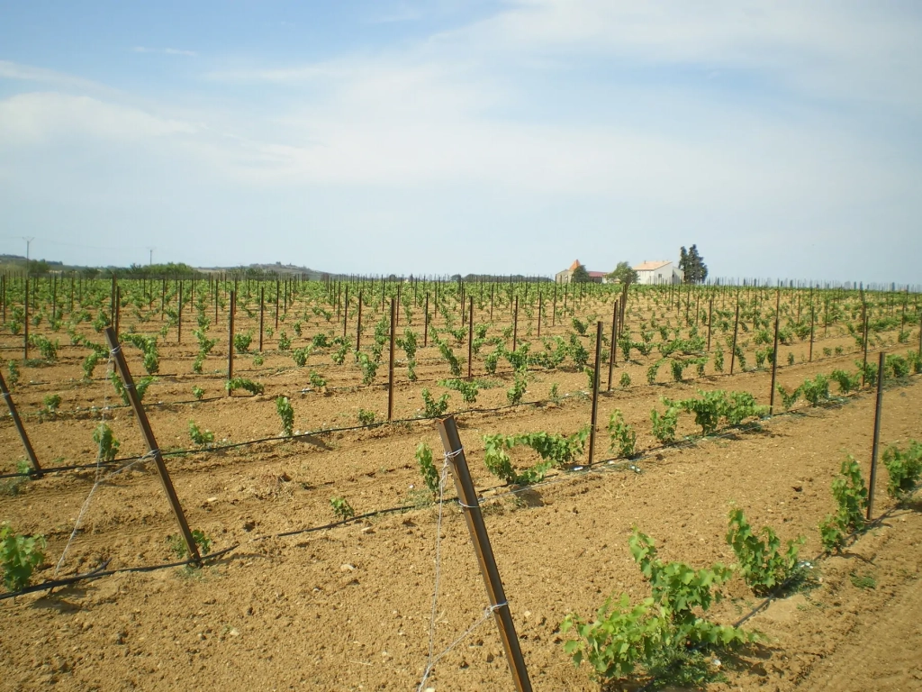 Est-ce que je peux installer moi-même mon système d'irrigation ?