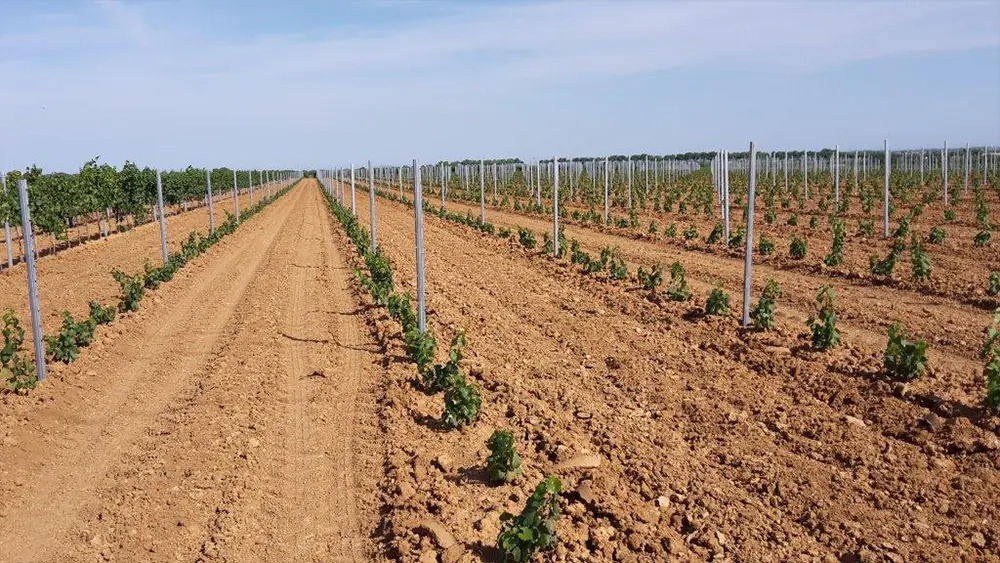 Quand doit-on irriguer une culture ?